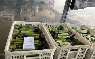 我縣開出首批《食用農產品合格證》，食用農產品初加工邁入規范管理新階段